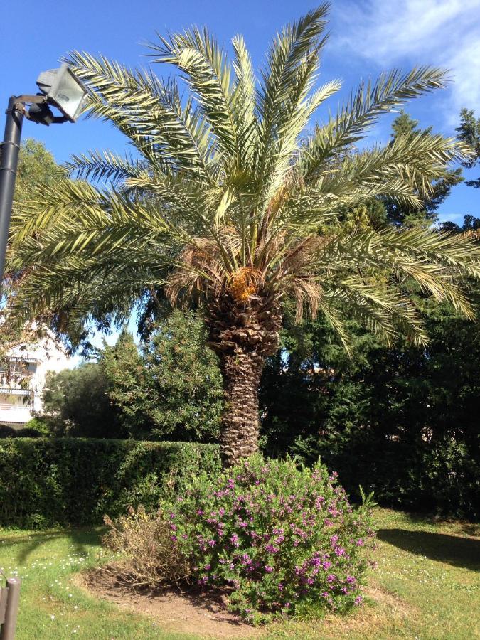 Apartment Eden Saint Tropez Exterior foto